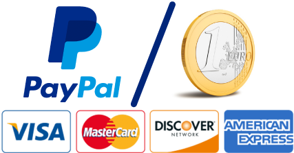 Accepted payment methods for long distance taxi and private transfers, cash, paypal, credit card